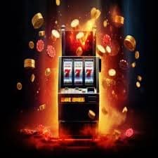 sbobetcom